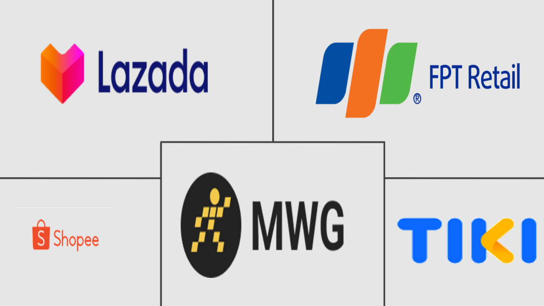 Vietnam E-commerce Market Analysis